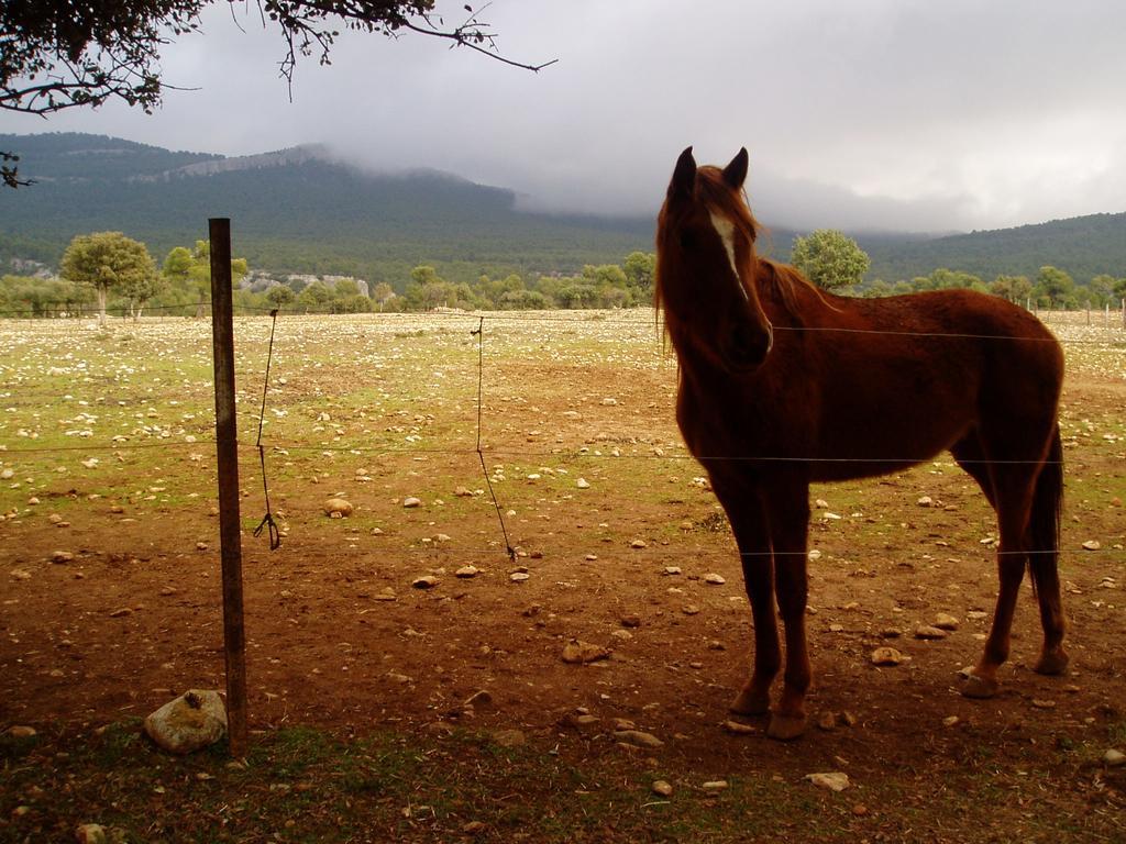Alojamiento Rural Economato Pozo Alcón Buitenkant foto